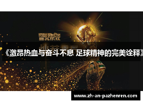 《激昂热血与奋斗不息 足球精神的完美诠释》